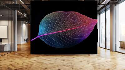   A colorful leaf on a black background with two pink lines dividing it Wall mural