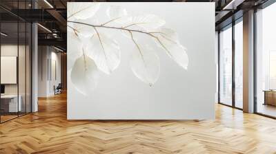  A solitary white leaf on a gray background, with a single leaf in both the foreground and background Wall mural