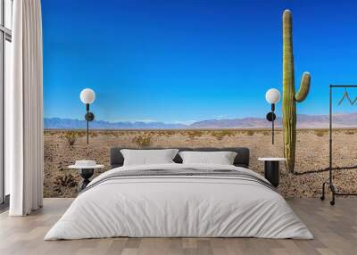   Large cactus in desert with mountains behind and blue sky above Wall mural