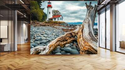   Wooden log on a rocky beach with a white and red lighthouse in the background, under a cloudy sky Wall mural