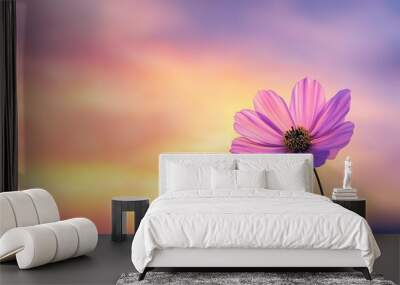 A single cosmos flower blooming in the sunset sky Wall mural