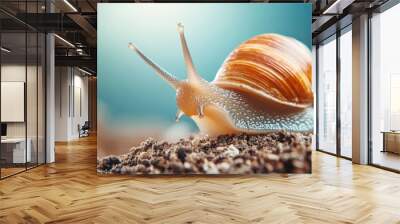 A small brown and tan snail is on soil. The snail is looking up and he is curious Wall mural