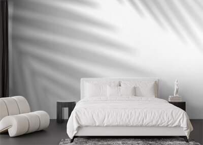 Palm leaf shadow overlay effect. Abstract background with shadows from tropical leaves. 3d rendering. Wall mural