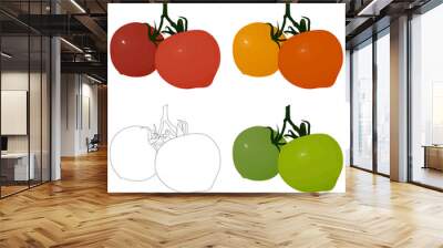 Set of images of a tomato on a branch. Painted red, orange, yellow and green tomatoes, a contour of tomatoes. Vector eps10. Wall mural