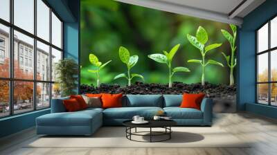 Growth stages of plants from seedling to mature greenery. Wall mural