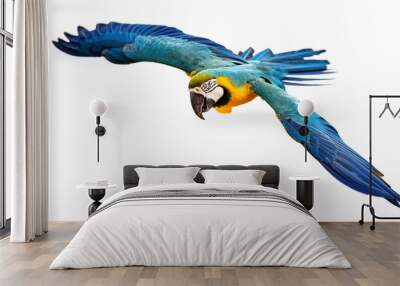 blue and gold macaw isolated on white background Wall mural