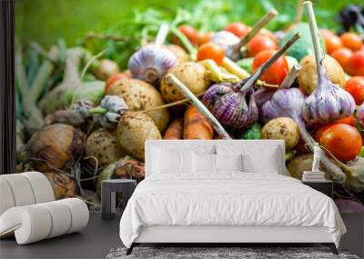 Freshly harvested vegetable, background, healthy farm fresh vegetables on farmer market Wall mural