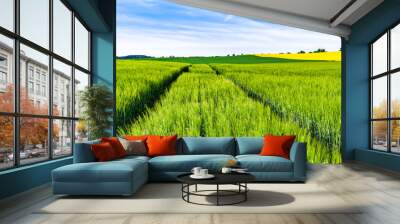 Green field of wheat growing in spring, farm landscape Wall mural