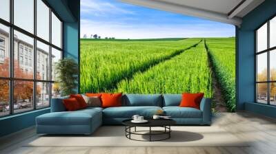 Road in field, green farm, landscape Wall mural