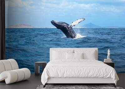 humpback whale jumping Wall mural