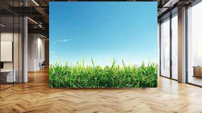 A vibrant green grass field under a clear blue sky with copy space image Wall mural