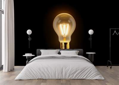 light bulb on black background Wall mural