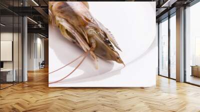 Shrimps on a white plate. Wall mural