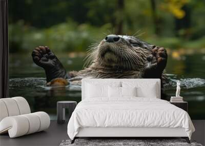 An otter floats on its back in calm water, enjoying a serene moment in nature. Wall mural