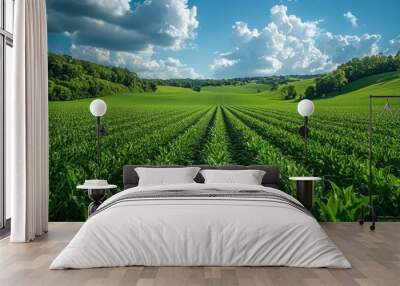 Green Field Landscape Wall mural