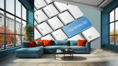 gross national debt written on the keyboard button Wall mural