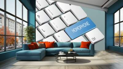 homophone written on the keyboard button Wall mural