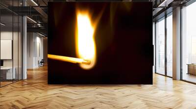 burning matchstick on black background Wall mural