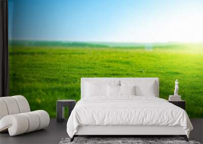 spring fresh bright green grass at sunset on a warm sunny day. beatiful morning green field with blu Wall mural