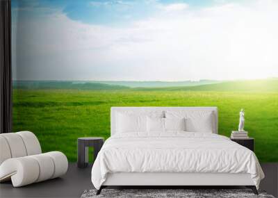 Spring fresh bright green grass at sunset on a warm sunny day. Green meadow under blue sky with clouds and sun. Wall mural