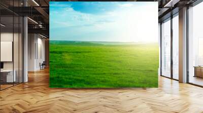 Spring fresh bright green grass at sunset on a warm sunny day. Green meadow under blue sky with clouds and sun. Wall mural