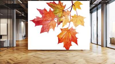 Watercolor illustration of yellow and red autumn leaves Wall mural