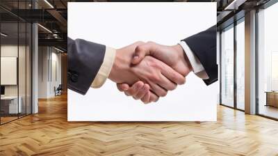 Handshake of 2 men wearing suit Wall mural