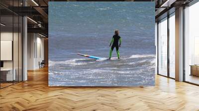 Surfer on the Malibu beach, Southern California Wall mural