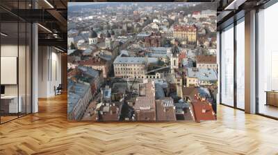 aerial view of the city Wall mural