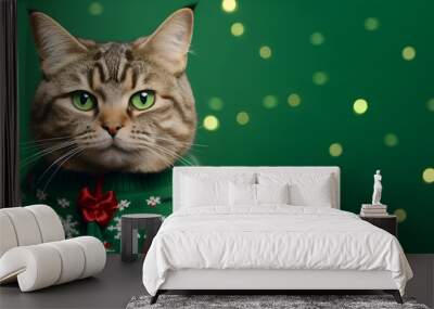 Cute cat in a Christmas sweater on a green background Wall mural