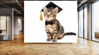 Cute cat wearing graduation hat isolated on white background Wall mural