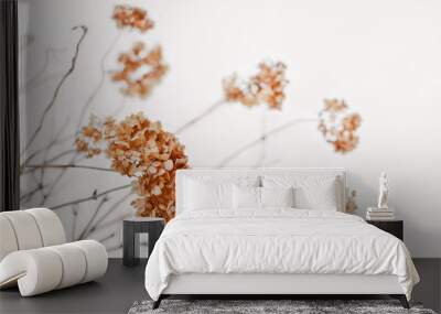 Dry hortensia (hydrangea) flowers and twigs over natural snowy background. Picturesque winter landscape in calm light shades. Shallow depth of field Wall mural