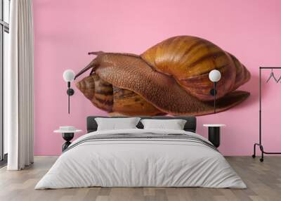 Giant snail on pink background Wall mural