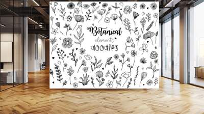 Sketch of floral elements for your design. Black hand-drawn floral and botany elements, floral doodles, set hand drawn floral elements. Illustration isolated on white background. Wall mural