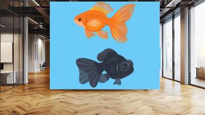 Red and black goldfish isolated in blue background Wall mural