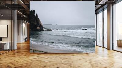 Waves and cliff Wall mural