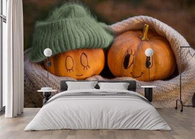 Two orange pumpkins on a wooden background lie wrapped in a warm scarf and hat, concept of autumn weather and Halloween holiday Wall mural