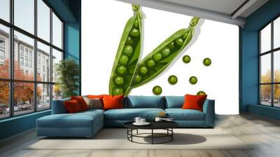 Two pods of green fresh peas. Wall mural