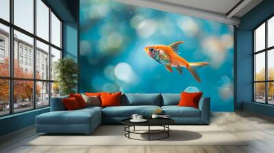 Close-up of a small fish swimming in an aquarium in transparent clear water. Animals concept. Wall mural