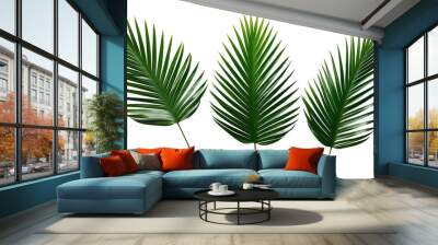 collection of palm leaves, palm tree, transparent background, isolated, top view, flat illustration, ai generated Wall mural