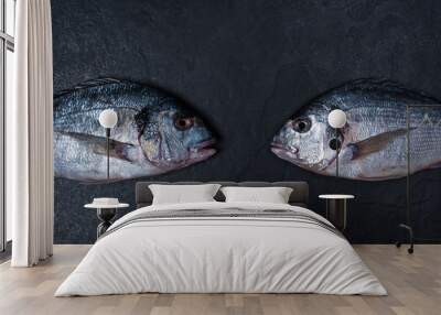 Two raw dorados on the dark stone table Wall mural