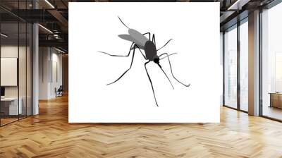 vector illustration silhouette of a mosquito Wall mural