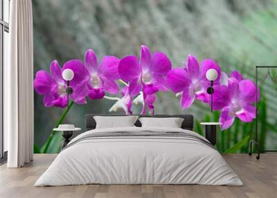 Closeup of beautiful orchids over green leafs Wall mural