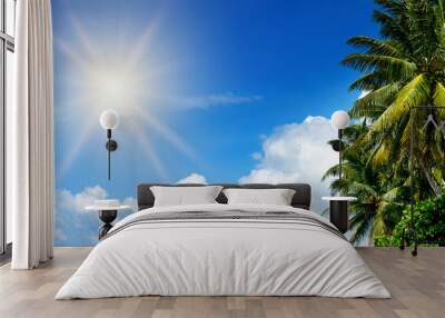 Coconut palm leaf , blue sky and bright sun. Wide photo. Wall mural