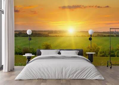 corn field and sunrise on blue sky Wall mural