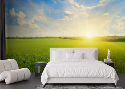 field, sunrise and blue sky Wall mural