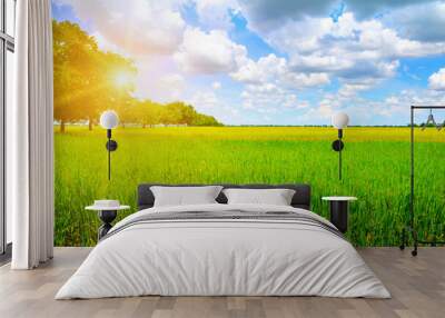 Green field, sun and blue sky. Wall mural