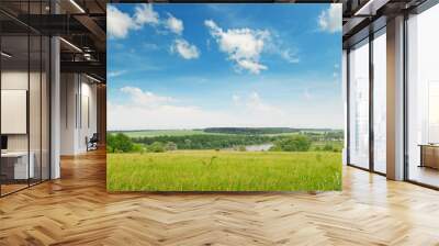 green field and blue cloudy sky Wall mural