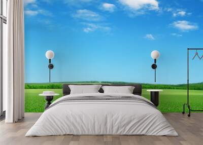 green field and blue sky Wall mural