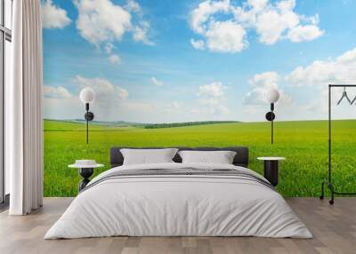 green wheat field and blue cloudy sky Wall mural